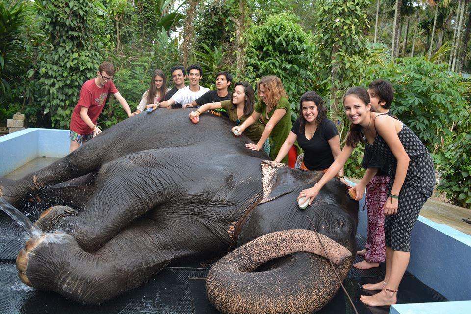 Green Leaf Home Stay Thekkady Exterior foto